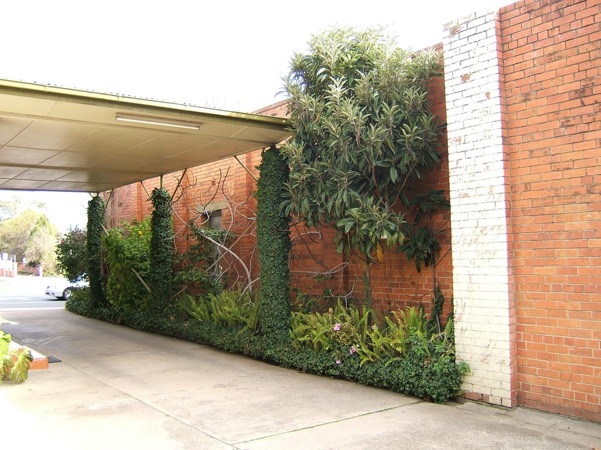 Clifton Motel Albury Luaran gambar